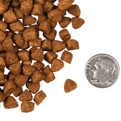 Fromm Four-Star Grain Free Dry Cat Food - Hasen Duckenpfeffer - 4lb Bag